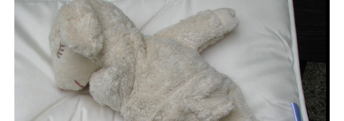 Couettes pour l'hiver